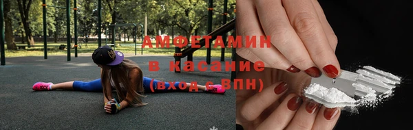 ПСИЛОЦИБИНОВЫЕ ГРИБЫ Осинники