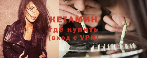 ПСИЛОЦИБИНОВЫЕ ГРИБЫ Осинники