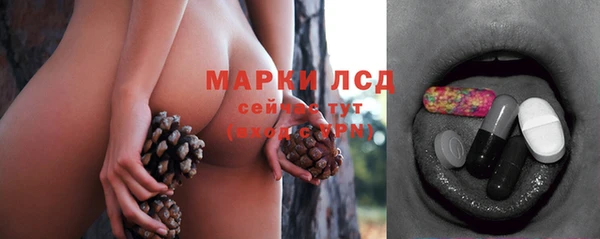 ПСИЛОЦИБИНОВЫЕ ГРИБЫ Осинники