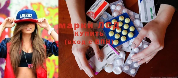 ПСИЛОЦИБИНОВЫЕ ГРИБЫ Осинники